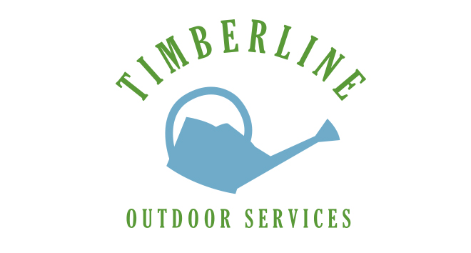 chattanooga webdesign timberline3